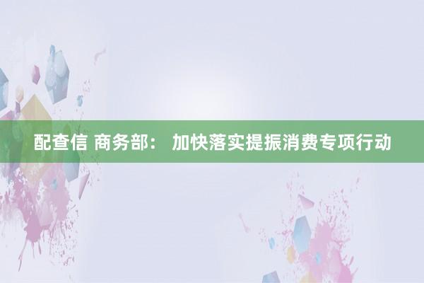 配查信 商务部： 加快落实提振消费专项行动