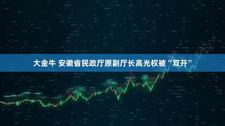 大金牛 安徽省民政厅原副厅长高光权被“双开”