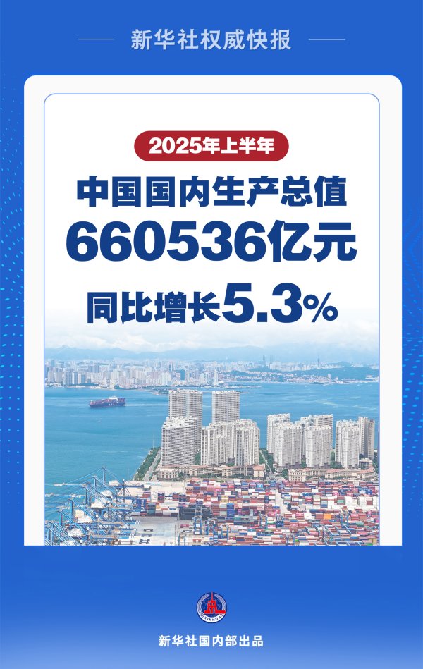 中证所 上半年中国经济同比增长5.3%